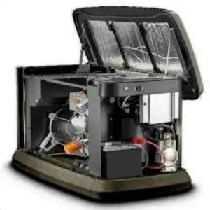 موتور برق پراماک 10 کیلووات گازسوز GA10000